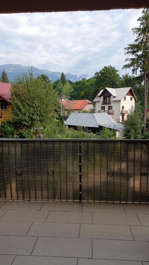 Criss Apartament Sinaia Bagian luar foto