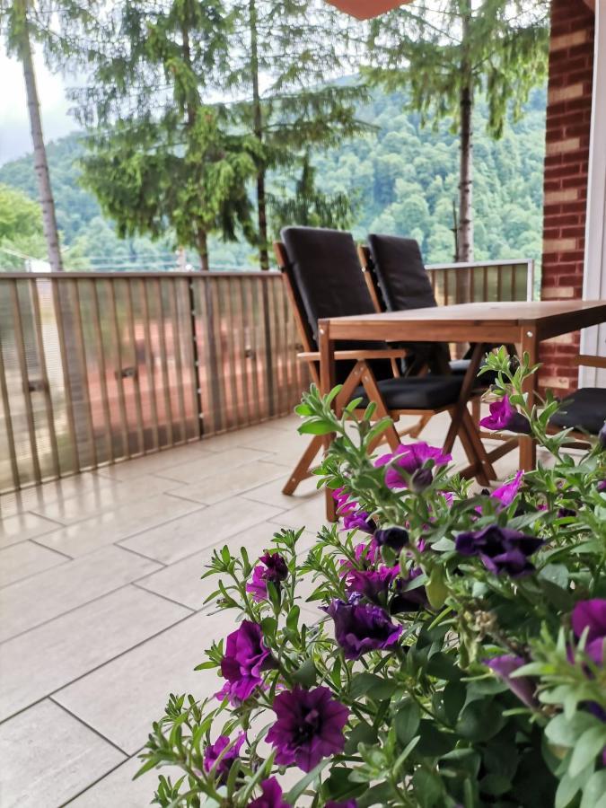 Criss Apartament Sinaia Bagian luar foto